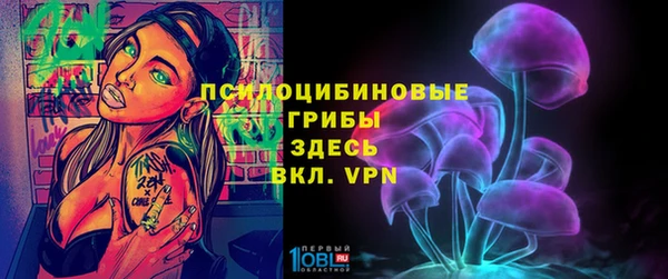2c-b Арсеньев